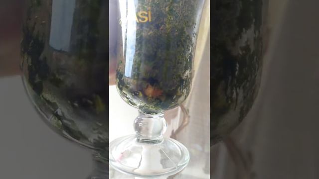Як швидко наростити орхідеї коріння в моху результат нарощування коріння в моху/азіатський підліто смотреть онлайн