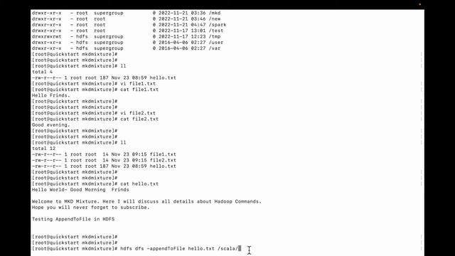 Basic HDFS Commands : hdfs dfs -appendToFile in details | append Hadoop Command with example смотреть онлайн