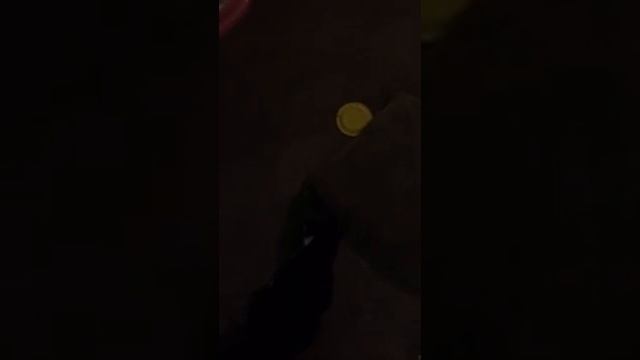 Cats vs cucumber debunked смотреть онлайн