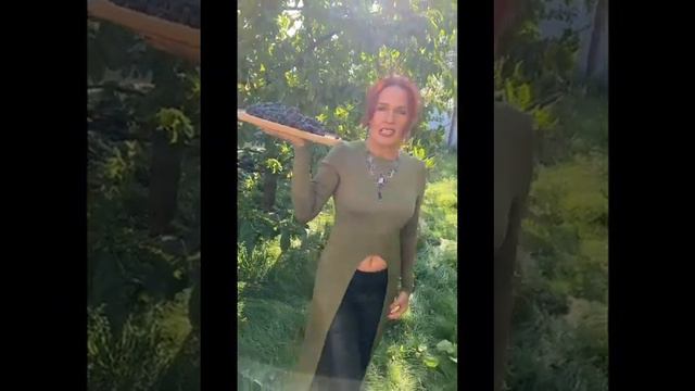 "Гранат". - (Автор: Е.Русланов) смотреть онлайн