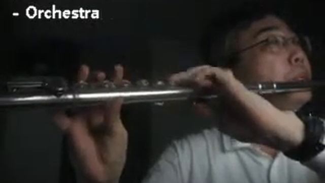 [1st] Telemann Suite in A minor for Flute, Strings and Continuo - 2nd Mvmt Orchestral Prelude смотреть онлайн