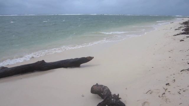 Cyclone Hurricane in Mauritius Flic en Flac live at the Beach смотреть онлайн