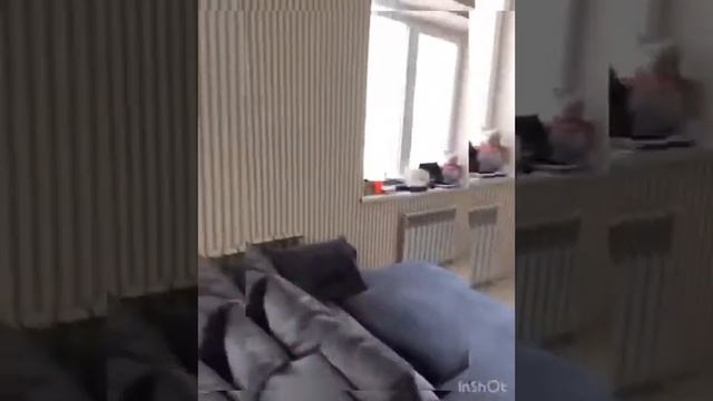 Озеленителей 38/1 смотреть онлайн