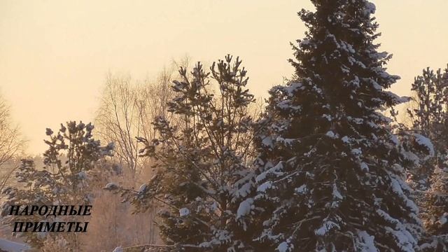 13 января Васильевский вечер! Народные приметы в ночь на старый новый год! Гороскоп на 13-е! смотреть онлайн