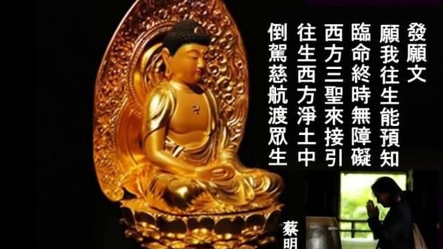 清淨法身佛 莊嚴好聽 смотреть онлайн