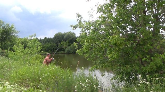 Карповый пруд. смотреть онлайн