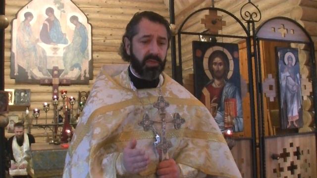 протоиерей Михаил Браверман 29.11.2015 г. смотреть онлайн
