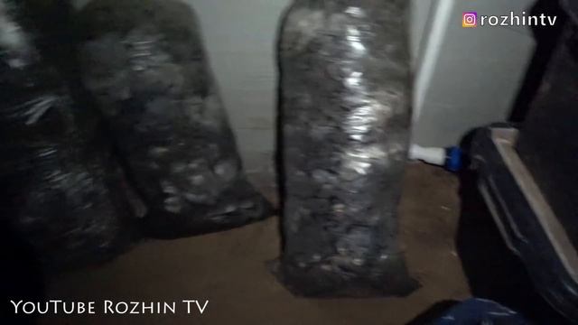 ПОДГОТОВКА КОМПОСТА ДЛЯ ШАМПИНЬОНОВ И ЗАСЕВ МИЦЕЛИЯ смотреть онлайн