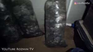 ПОДГОТОВКА КОМПОСТА ДЛЯ ШАМПИНЬОНОВ И ЗАСЕВ МИЦЕЛИЯ