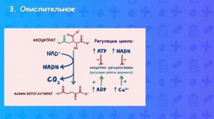 Цикл трикарбоновых кислот. Цикл Кребса