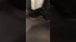 Замена ФИЛЬТРА САЛОНА VW T5