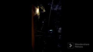 ночной обход парка Покровское Стрешнево!