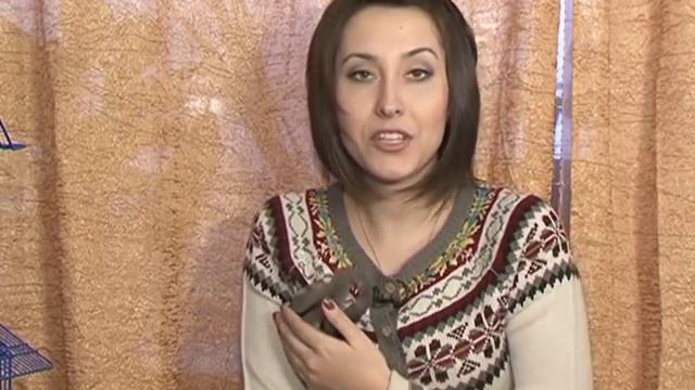 Домашний зоопарк: Сахарный поссум смотреть онлайн