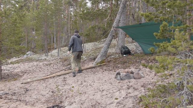 ОДИН В ЛЕСУ БЕЗ ПАЛАТКИ В ПОХОДЕ| ГОТОВЛЮ МЯСО НА КОСТРЕ смотреть онлайн