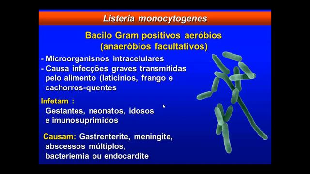 CLASE 2 - BACTERIAS смотреть онлайн