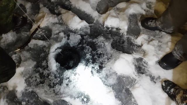 Налим. Зимняя рыбалка на налима смотреть онлайн