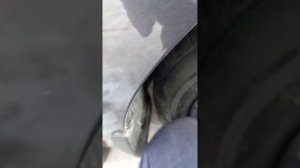 кия рио замена штатного размера на 205/55/16