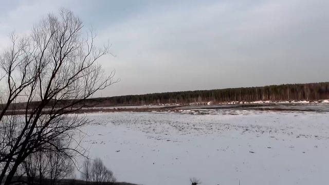 Весна 2021год.mp4