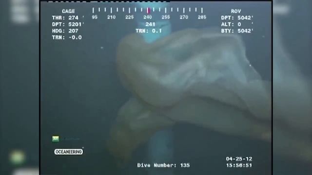 10 ЖУТКИХ МОНСТРОВ Снятых На Камеру Необъяснимые Существа смотреть онлайн