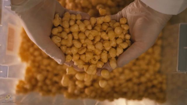 KO-KO-KO 100% хрустящий воздушный сыр смотреть онлайн