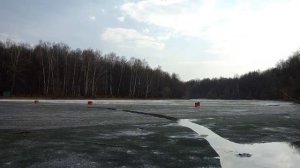 Украли снег! Лес оживает! Весна в Измайлово! Уткины свадьбы! Дупло-мутант пугает посетителей!.mp4