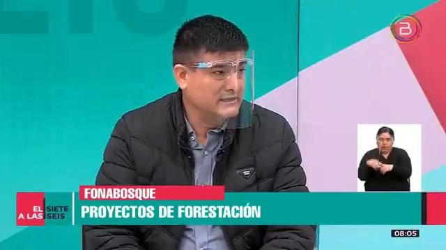 Entrevista a el director de Fonabosque Adolfo León en el canal estatal Bolivia tv. смотреть онлайн