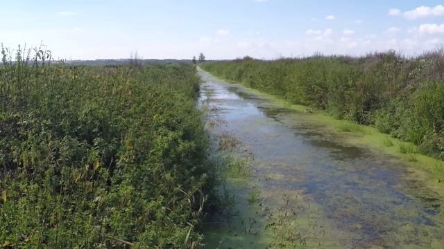 Охота на Утку с подхода 2022г. смотреть онлайн