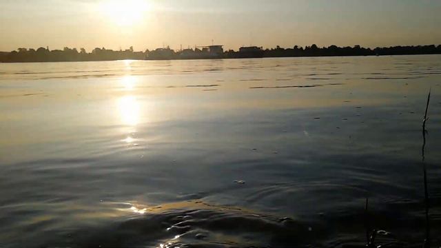 Река Нева 2019 июня смотреть онлайн