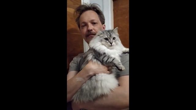 Закупились в ИКЕА и обустроили прихожую. смотреть онлайн