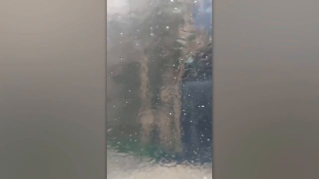 Incredible Moments Caught On Camera