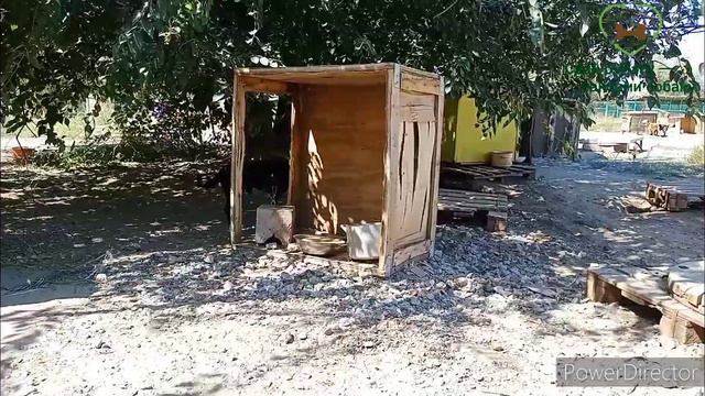 Поездка в Приют для собак "Островок Надежды" смотреть онлайн