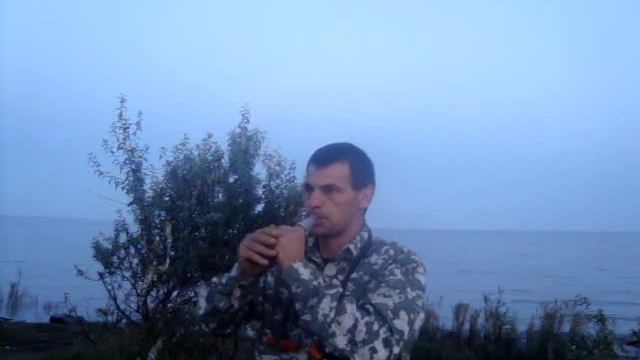 МАНОК НА СЕРОГО ГУСЯ смотреть онлайн