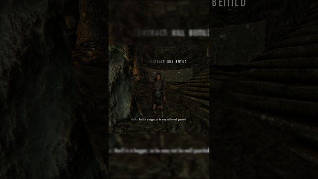 Herika (ChatGPT Skyrim Companion) picks a contract смотреть онлайн
