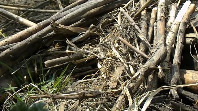 Весенняя вылазка на реку Быстрая Сосна смотреть онлайн