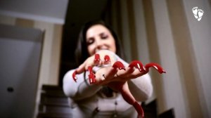 Long Nails ? Red toenails and fingernails