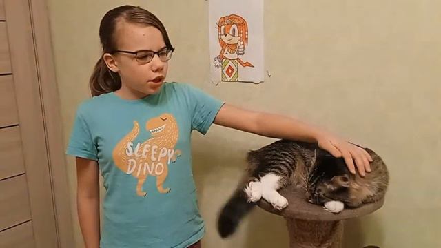 Как ухаживать за породой карликовый мейн-кун смотреть онлайн