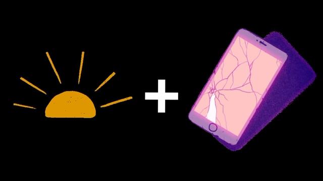 Quiz! Things you find at the beach | Guess the beach item | Picture Clues смотреть онлайн
