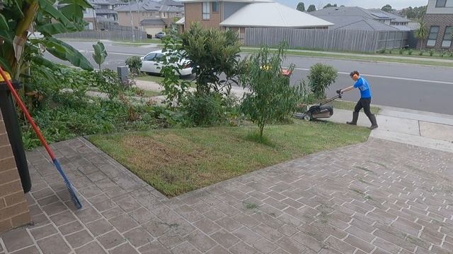 Friend Away, Lawn Overgrown: Helping mowing and Surprising Reaction смотреть онлайн