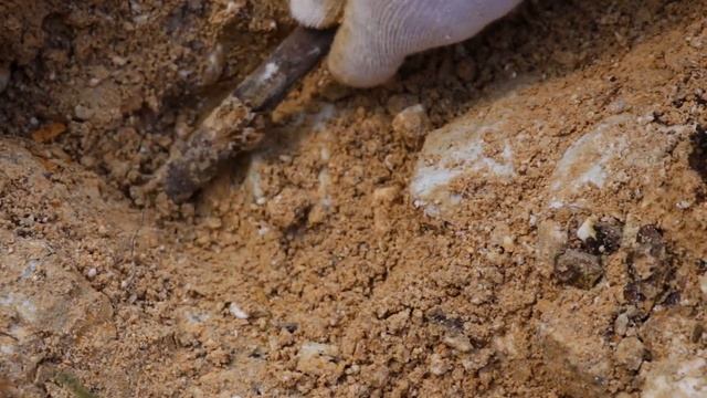 Treasure hunt/found so much gold in a special stone in one day смотреть онлайн
