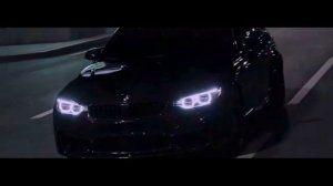 Бодя Мир642 х Dewensoon - Meloman