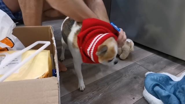 САМЫЕ ЛУЧШИЕ ПОДАРКИ ВЕСНЫ 2021! ЧТО ВНУТРИ?