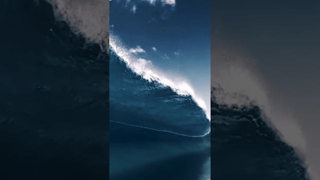 Без названия