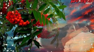 АЛАЯ РЯБИНА! - Игорь Кибирев