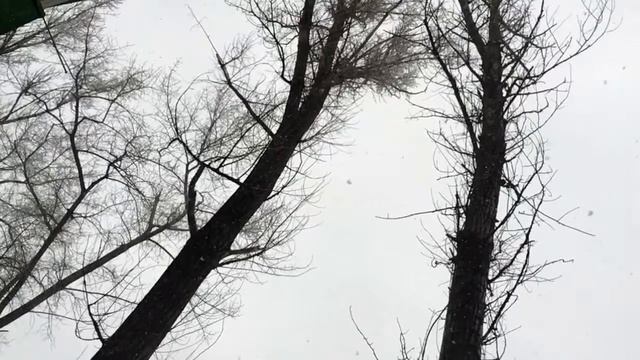 Slow Motion Iphone 6s - Snow.Медленная съемка - снег. смотреть онлайн