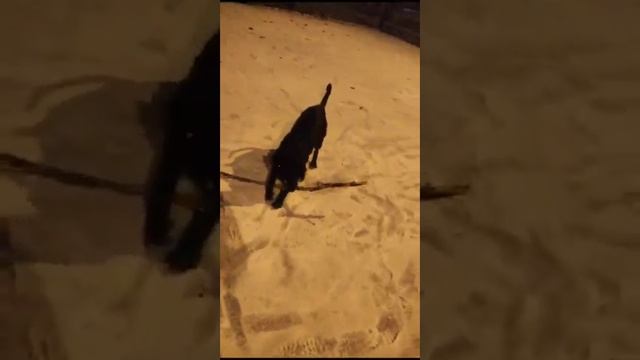 Раф смотреть онлайн