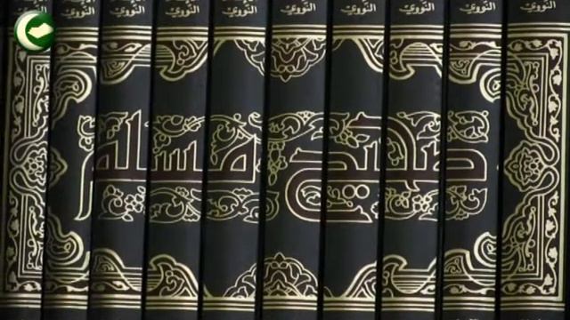 хадис смотреть онлайн