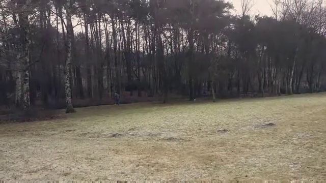 Masterpiece - S01 - Pilot Episode (Reigersbos) смотреть онлайн