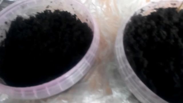 Перец сладкий. Калифорнийское чудо. Винни-Пух. смотреть онлайн