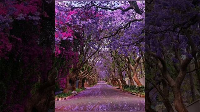 КРАСНАЯ ГОРКА смотреть онлайн