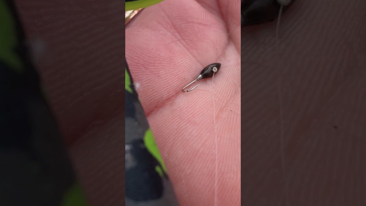 Вот это мормышка ловит рыбу #рыбалкакстово #первыйлёд #плотва #зимняяудочка смотреть онлайн